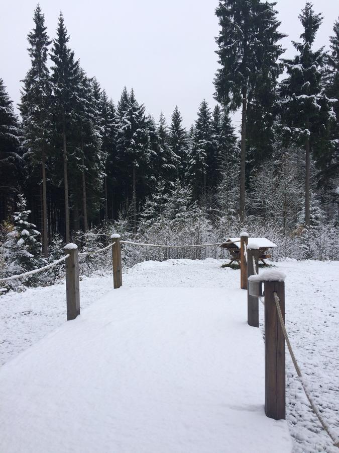 Ht Chalets Harrachov Exterior photo